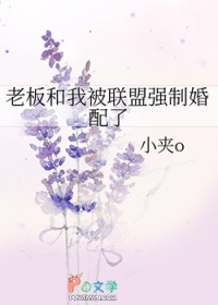 被老板整