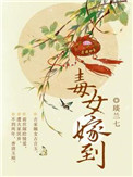毒女片段